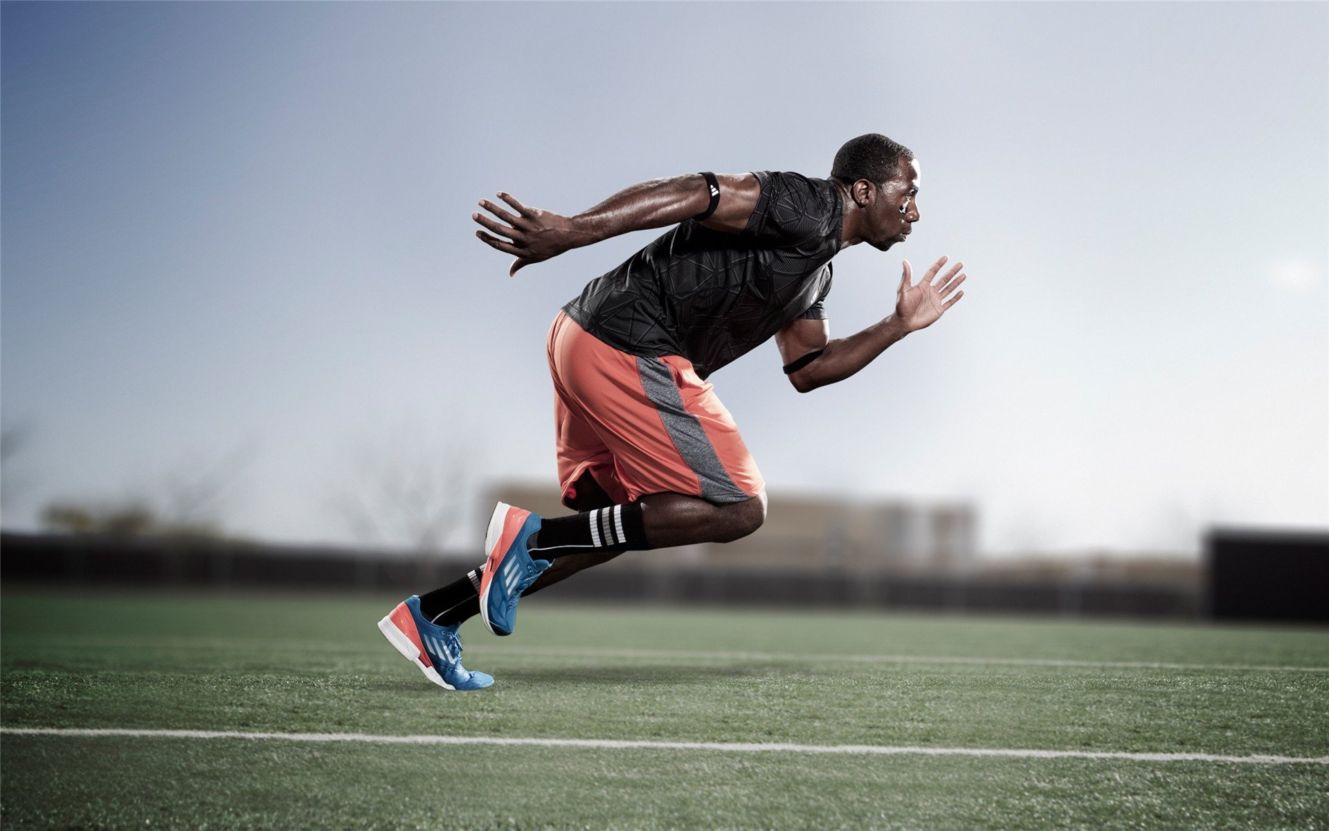 印度板球队全线爆发,连续零封对手,印度板球国家队